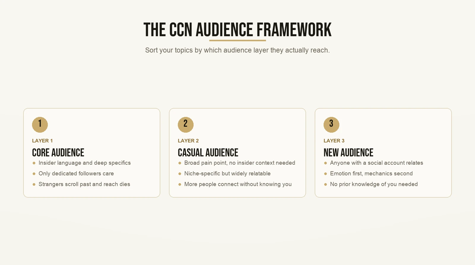 The CCN Audience Framework